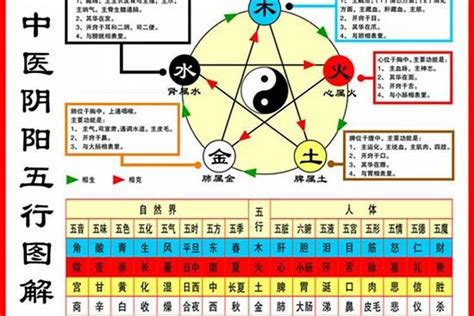 怎麼知道自己的五行屬性|【怎麼看自己的屬性】怎麼準確預測自己的屬性？一次搞懂五行體。